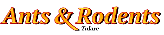 Tulare Ant Exterminator & Rodent Control Company Logo